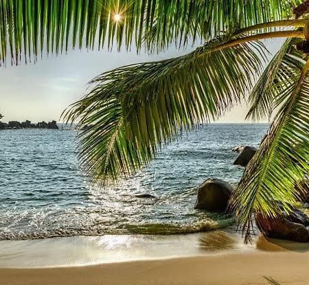 Baga Beach Palms Buitenkant foto