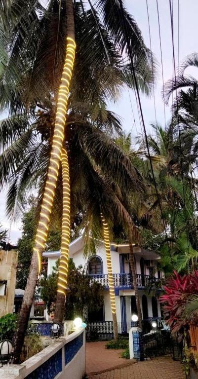 Baga Beach Palms Buitenkant foto